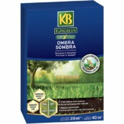 KB SEMBRES D'HAMPRE EVERGREEN De SPED, 1 Kg