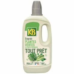 Engrais Tout Prêt Plantes Vertes Et Plantes D'intérieur KB - 1L